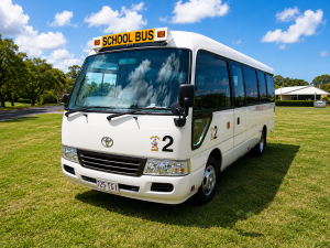 school bus3